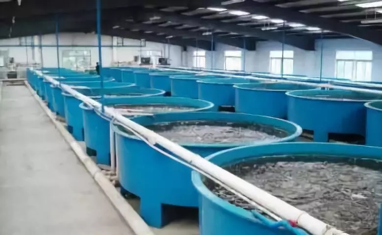 �՚�Դ��ú��ˮ�a(ch��n)�B(y��ng)ֳ